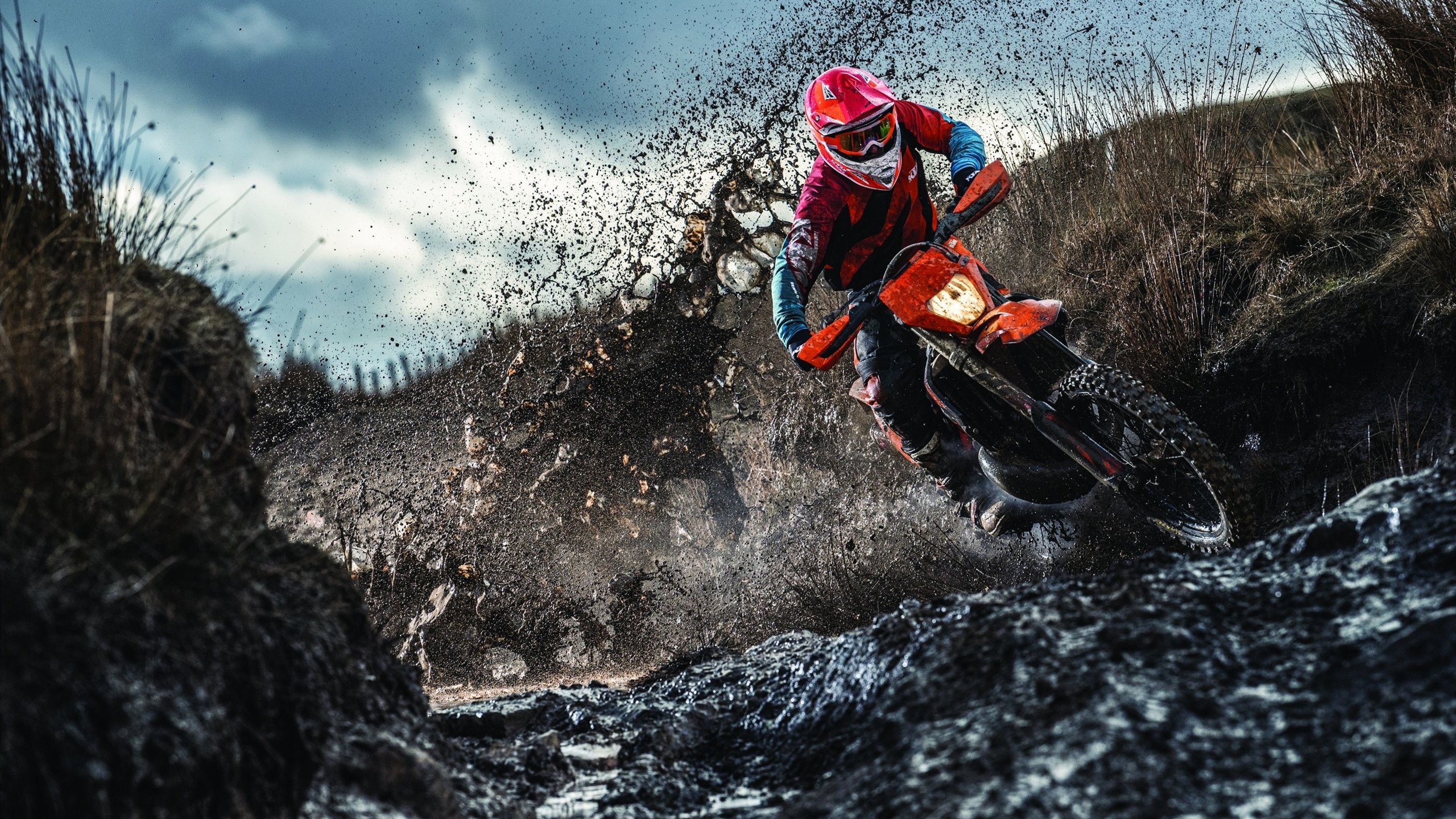 北境冰球联赛激战正酣，豪强争霸，新秀崛起